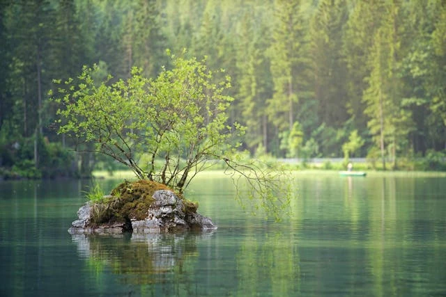 ইতিবাচক মনোভাব 1 ইতিবাচক মনোভাব 1