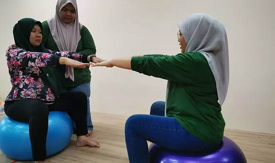 বার্থ বলের (Birth ball) আদ্যোপান্ত 1 বার্থ বলের (Birth ball) আদ্যোপান্ত 1